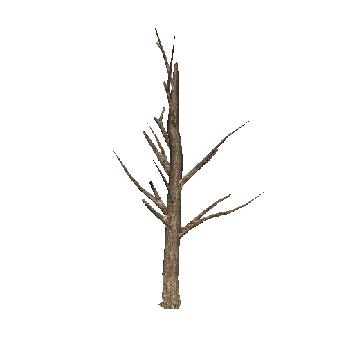 DeadTree45_1