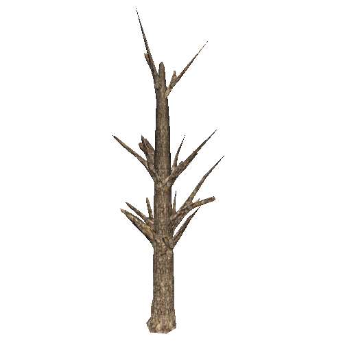 DeadTree46_1