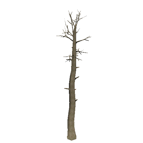 DeadTree47