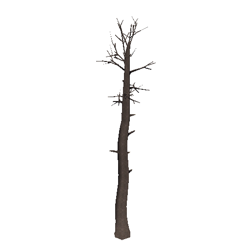 DeadTree47_1_2