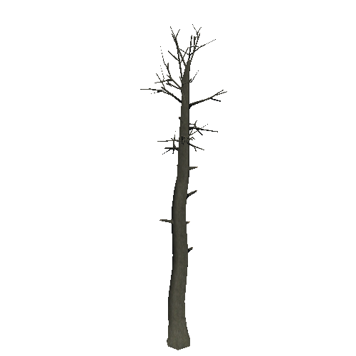 DeadTree47_1_2_3