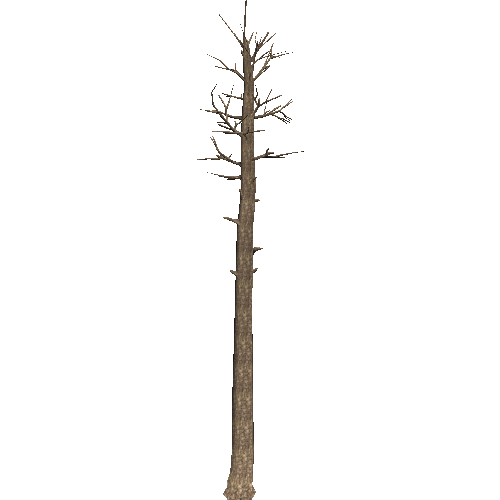 DeadTree48_1