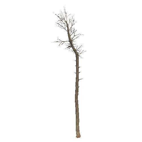 DeadTree49_1