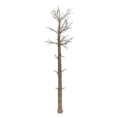 DeadTree4_1