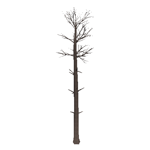 DeadTree4_1_2