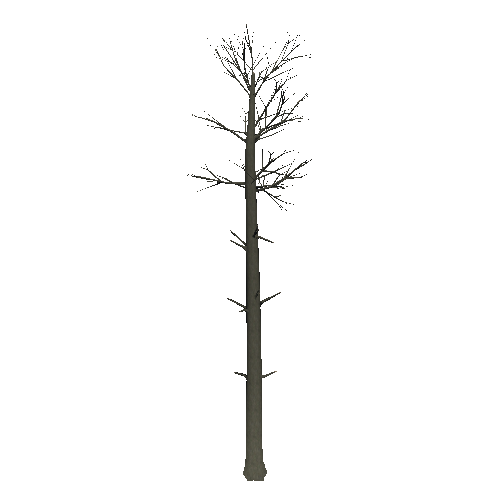 DeadTree4_1_2_3