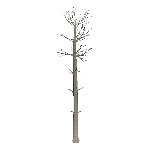 DeadTree4_1_2_3_4