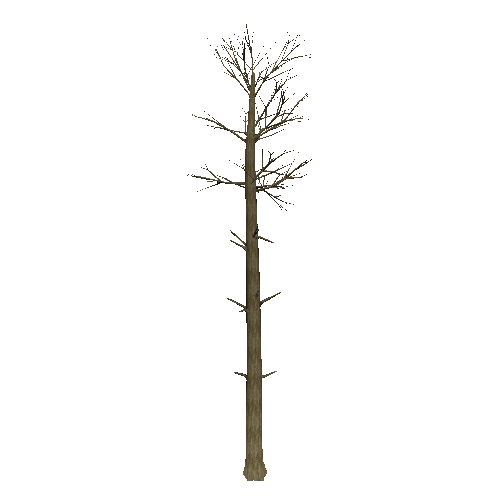 DeadTree4_1_2_3_4_5_6