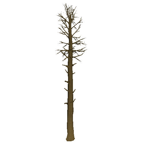 DeadTree6_1_2_3_4_5