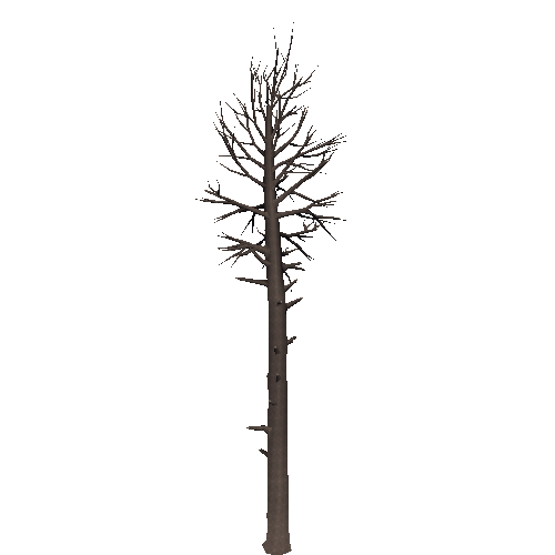 DeadTree8_1_2