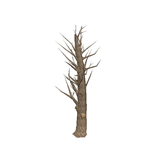 DeadTree9_1