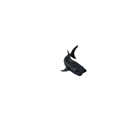 shark_anim_fbx_Prefab