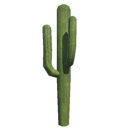 Cactus2