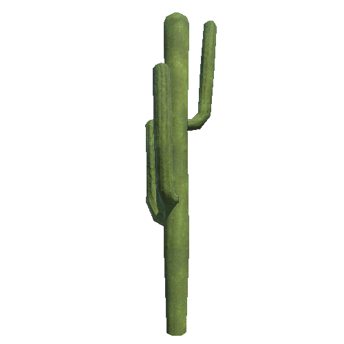 Cactus5