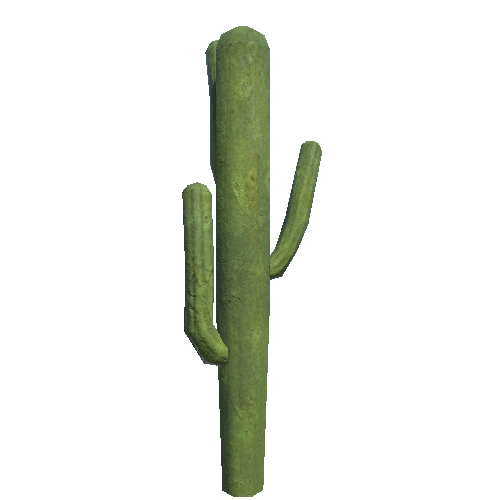 Cactus7