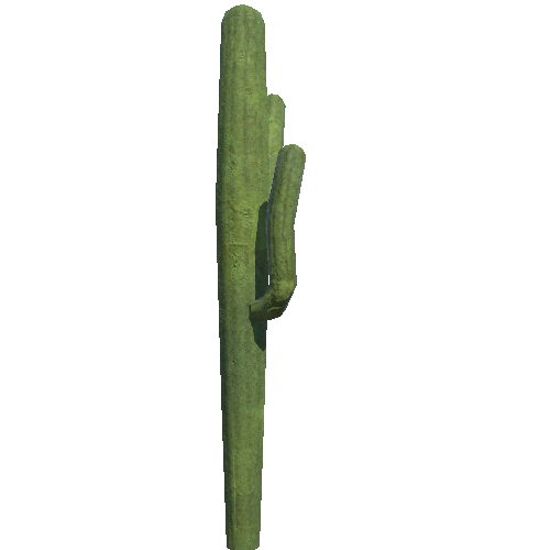 Cactus9