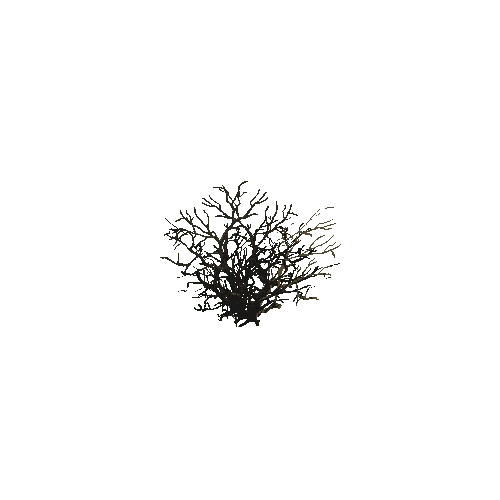 dead_bush_01_b