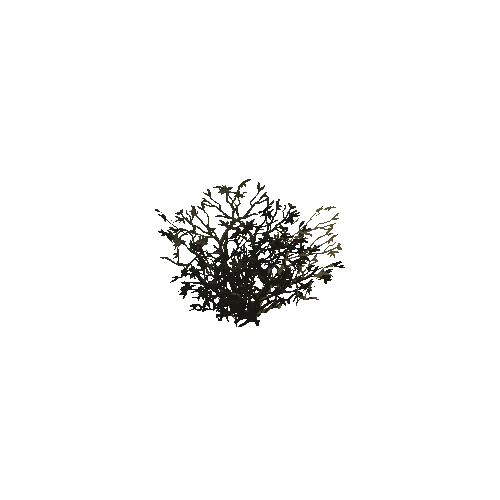 dead_bush_01_b_leaves