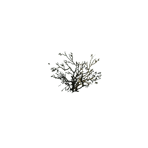 dead_bush_01_c