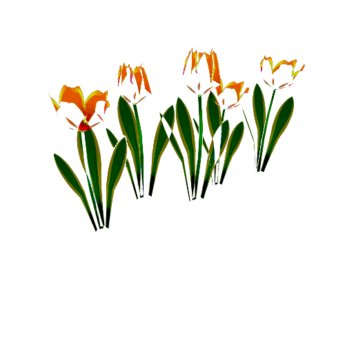 Flower_09_YellowTulip