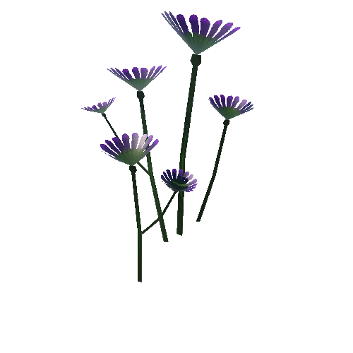 Flower_10b_1