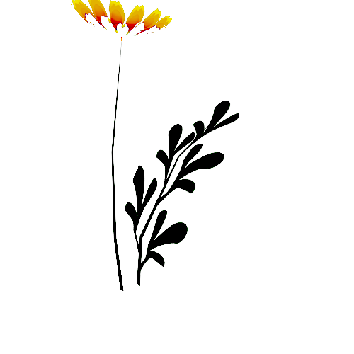 Flower_17a