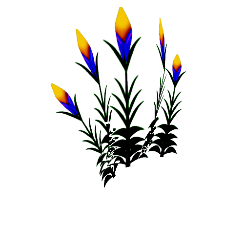 Flower_20a