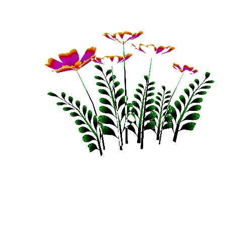 Flower_30c