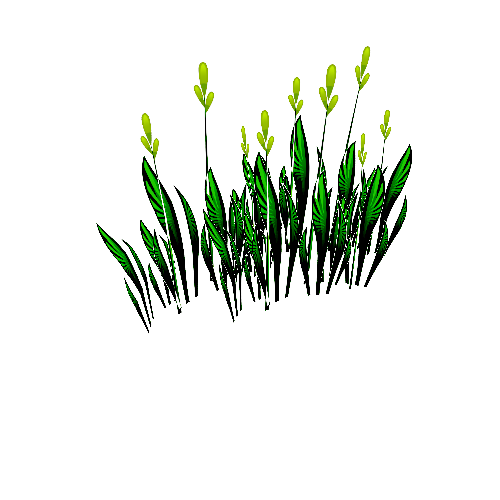 Grass_02b_1