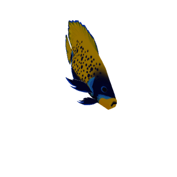 Blue_Fish_02