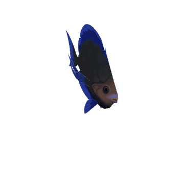 Blue_Fish_09