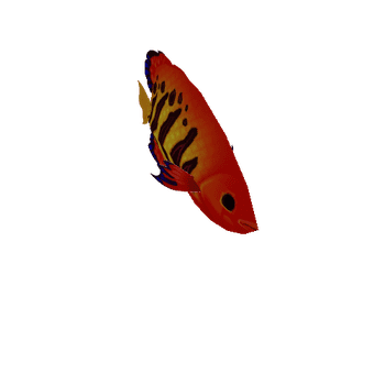 Red_Fish