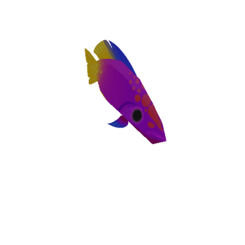 Violet_Fish