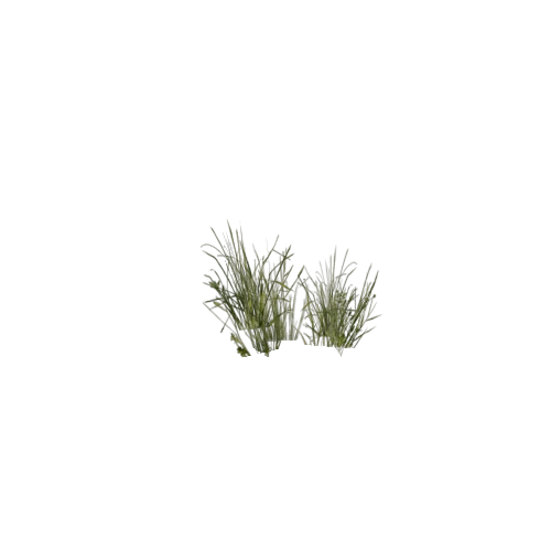 Grass1_LOD