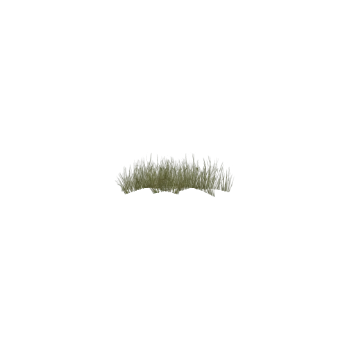 Grass_grup2_LOD