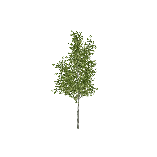 Tree16C_LOD