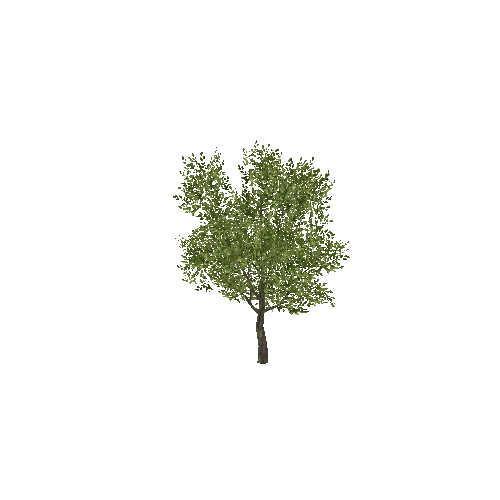 Tree5A_LOD