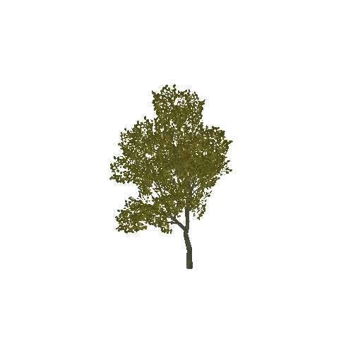 Tree6_LOD