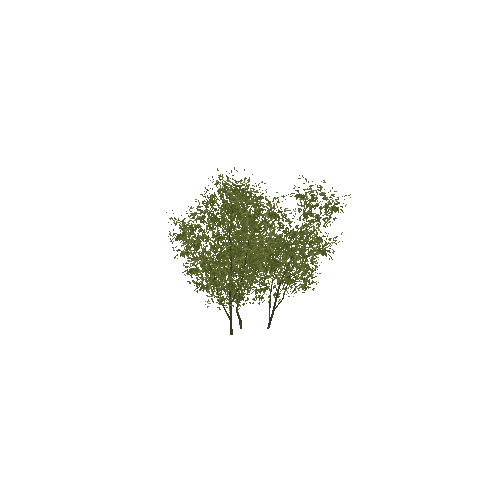 Tree7_LOD