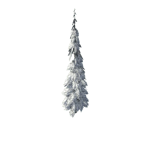 Tree_10