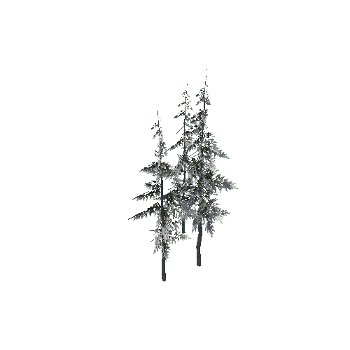 Tree_15