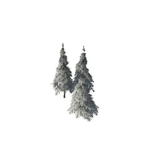 Tree_16