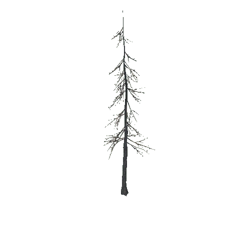 Tree_4