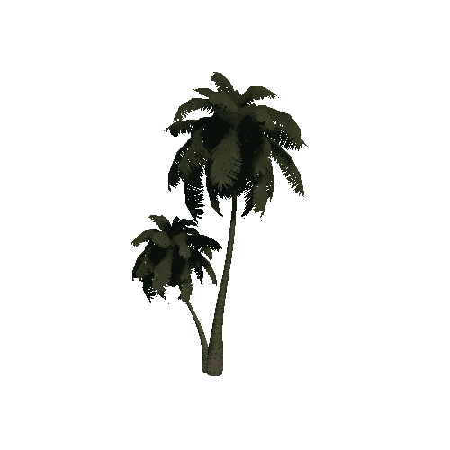 PalmTreeDualStraightTwoSided