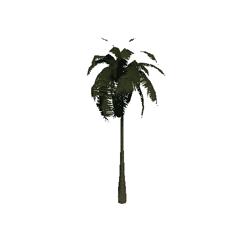 PalmTreeSingleStraightOneSided