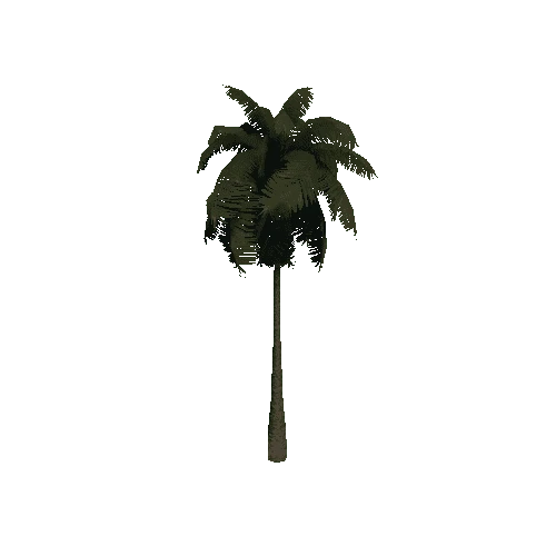 PalmTreeSingleStraightTwoSided