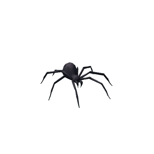 spider_01