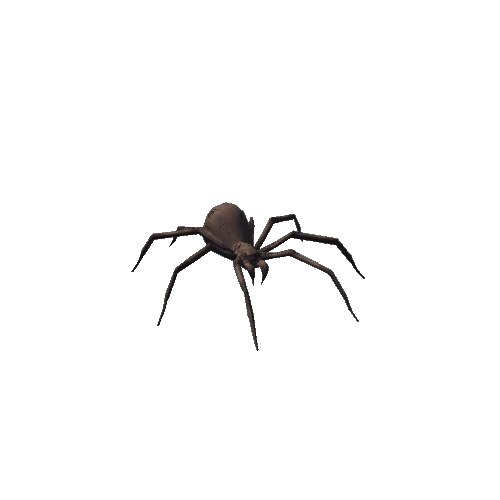 spider_02