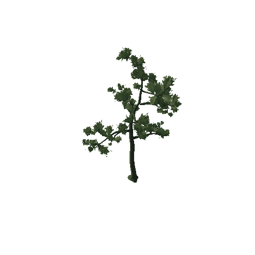 Tree_04