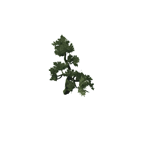 Tree_05